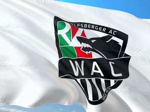 爱游戏娱乐-“腰旗橄榄球:东部新区赛场充满热血与战术”